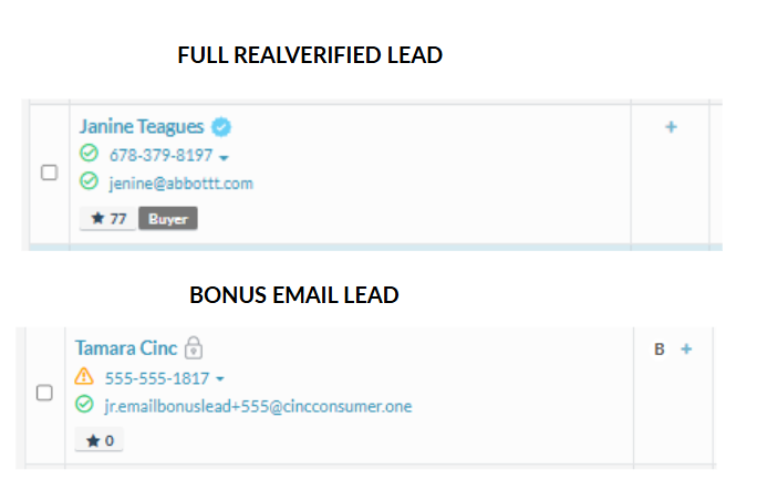 Bonus Email Leads